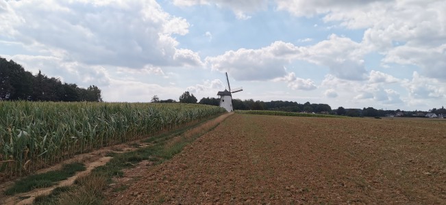  ﻿Le Moulin Molen ter hengst.